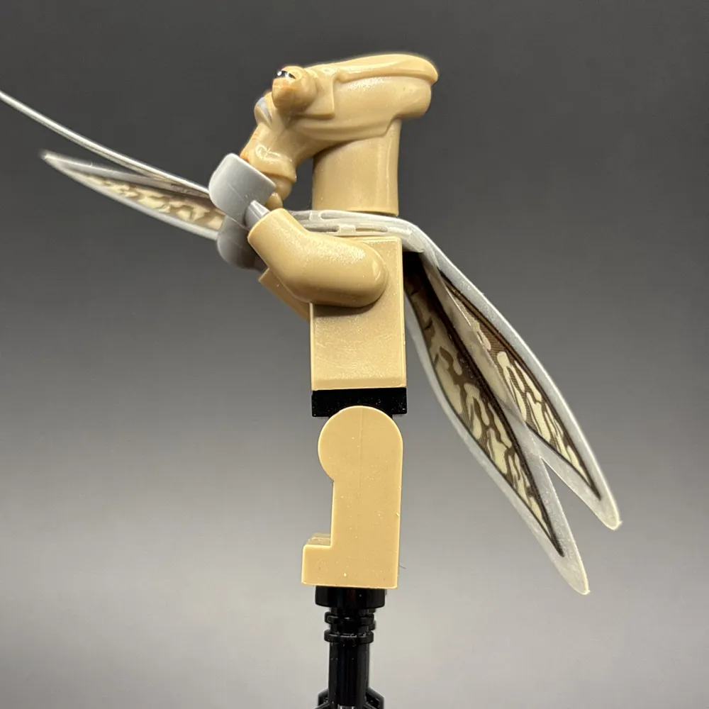 Миниатюра 4