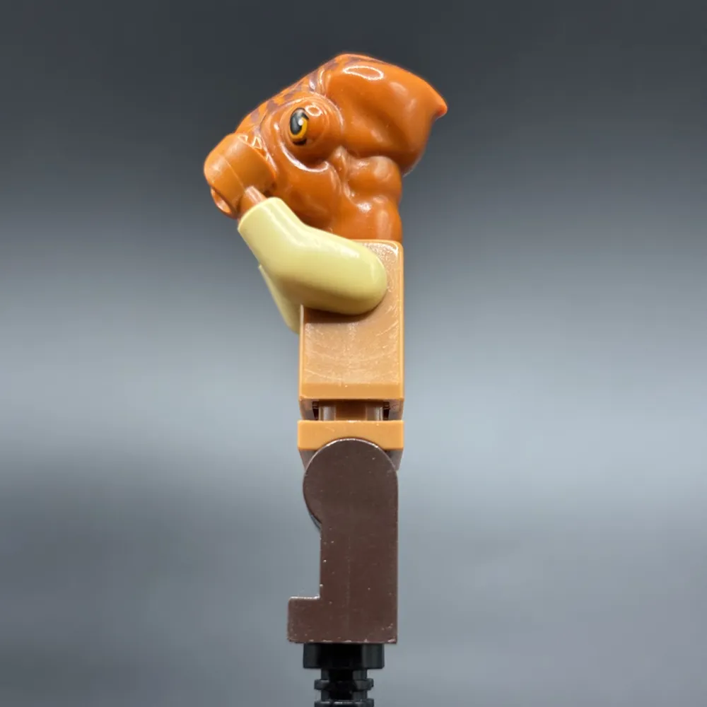 Миниатюра 8