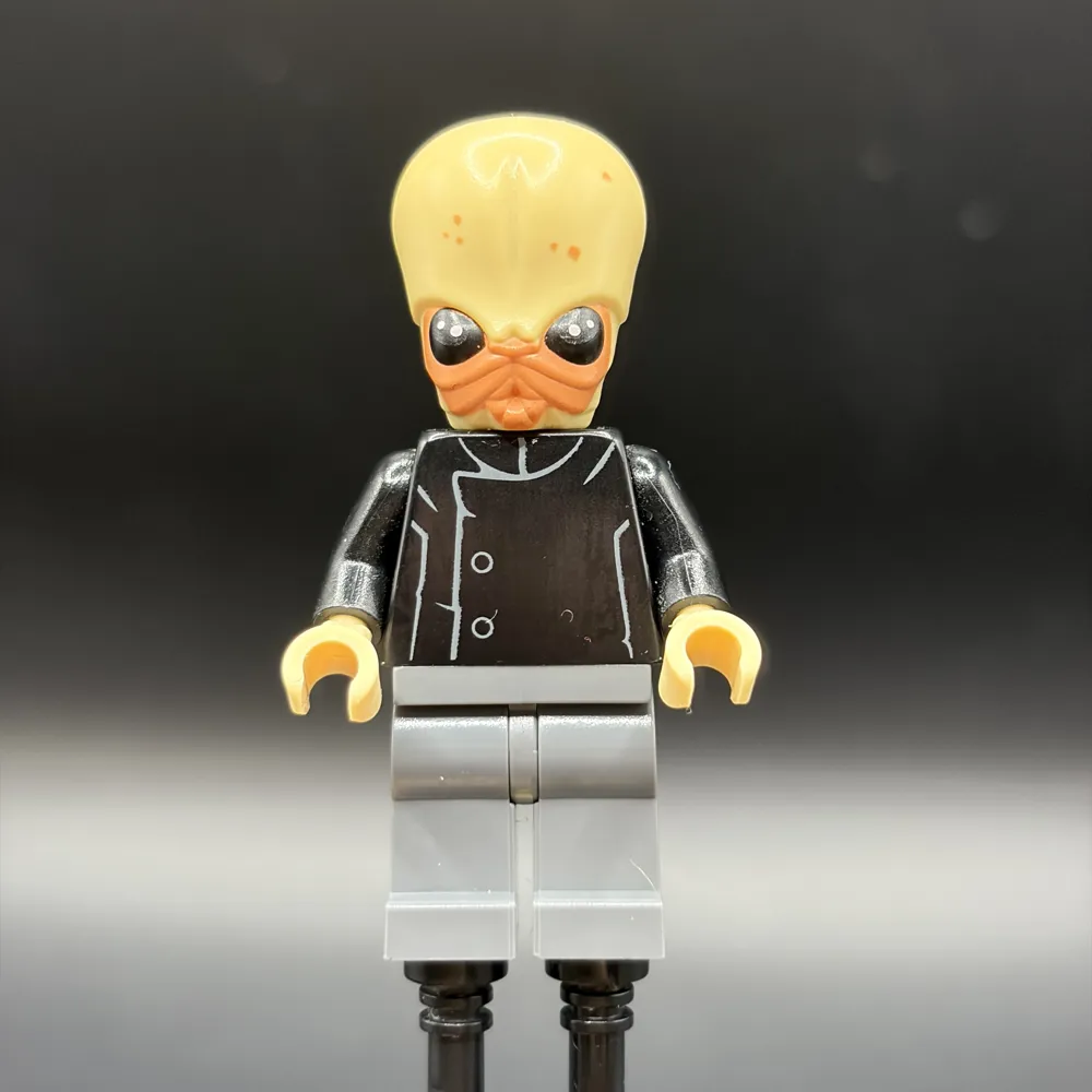 Bith Musician