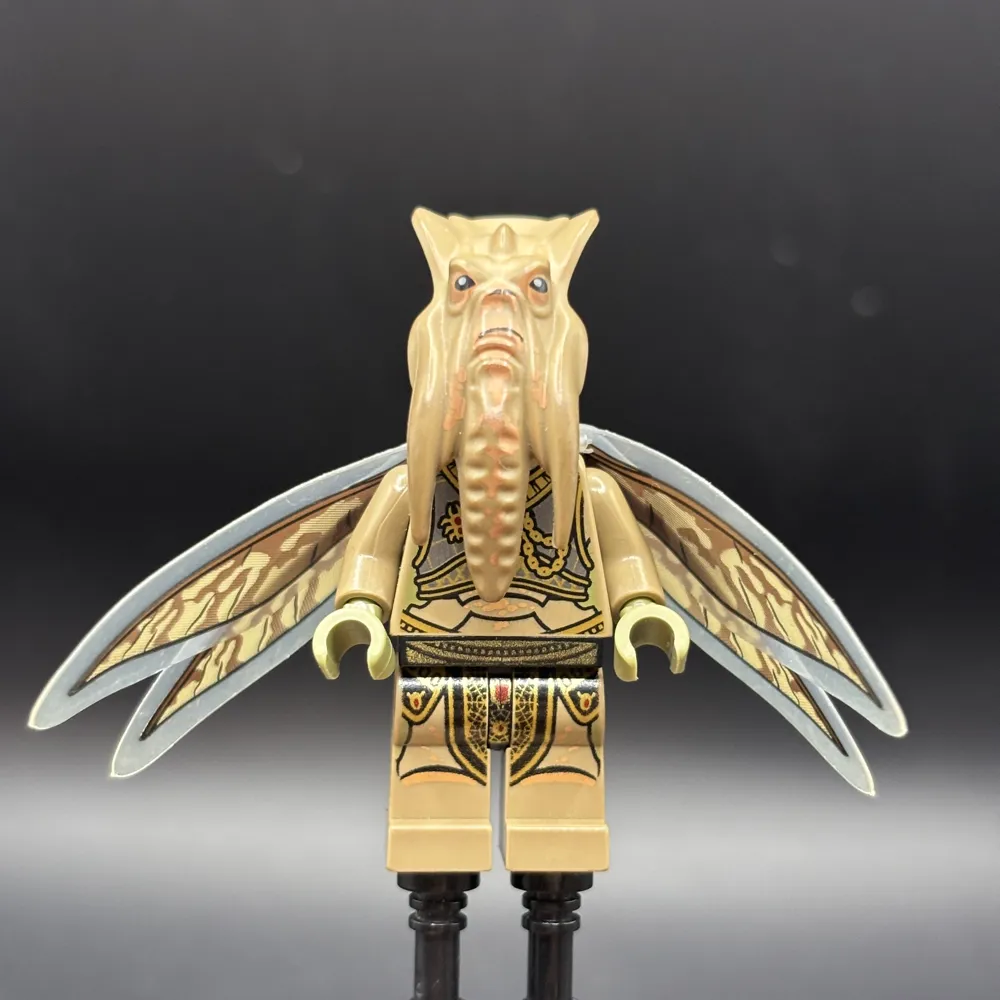 Poggle the Lesser
